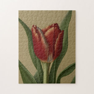 Shabby Chic Lovely Red Tulip Puzzle