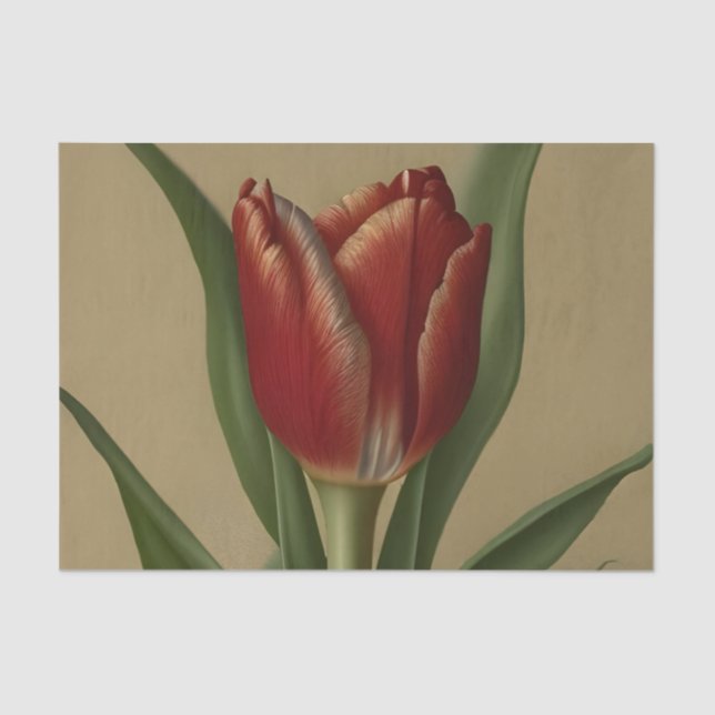 Shabby Chic Lovely Red Tulip Seidenpapier (Vorderseite)