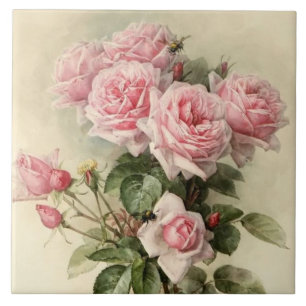 Shabby Chic-rosa viktorianische Rosen Fliese