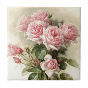 Shabby Chic-rosa viktorianische Rosen Fliese