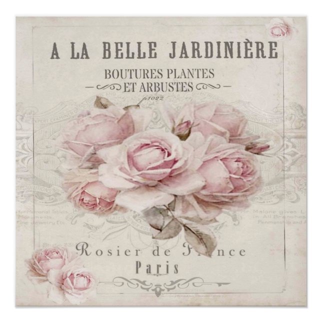 Shabby Chic, rustikal, Vintag, blumenreich, Collag Poster (Vorderseite)