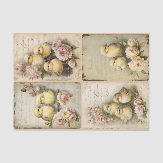 Shabby Chicks Seidenpapier (Vorderseite)