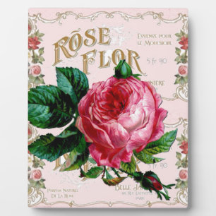 SHABBYCHIC Englische Rose vintage rosa Fotoplatte