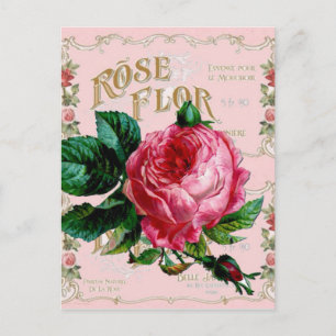 SHABBYCHIC English Rose Vintag rosa Postkarte