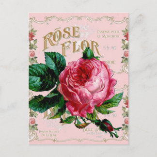 SHABBYCHIC English Rose Vintag rosa Postkarte