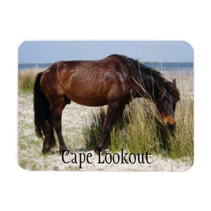 Shackleford Bank Wild Horse Magnet