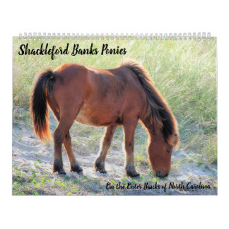 Shackleford Banks Ponys Kalender