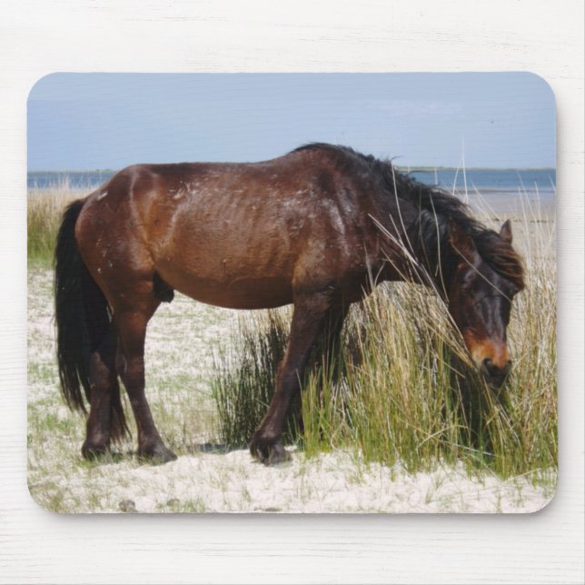 Shackleford Banks World Horse Grazing Mousepad (Vorne)