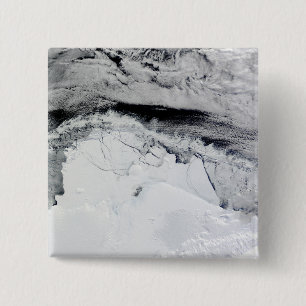 Shackleton Eis-Regal, die Antarktis Button