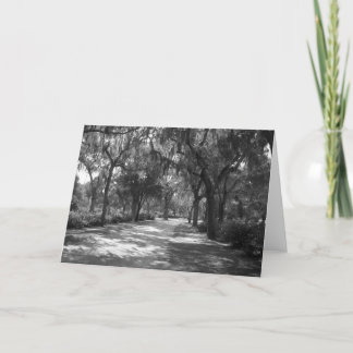 Shade "Neath Spanish Moss Karte