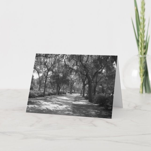 Shade "Neath Spanish Moss Karte (Vorderseite)