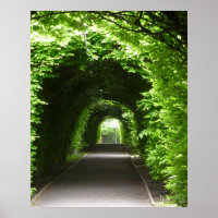 Shaded Botanic Garden Arbor