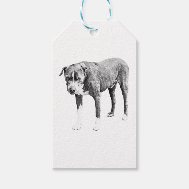Shaded Pit Bull Gift Tag Geschenkanhänger (Vorderseite)