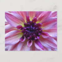 Shades der Lila Dahlia Nah Up DIY Postkarte