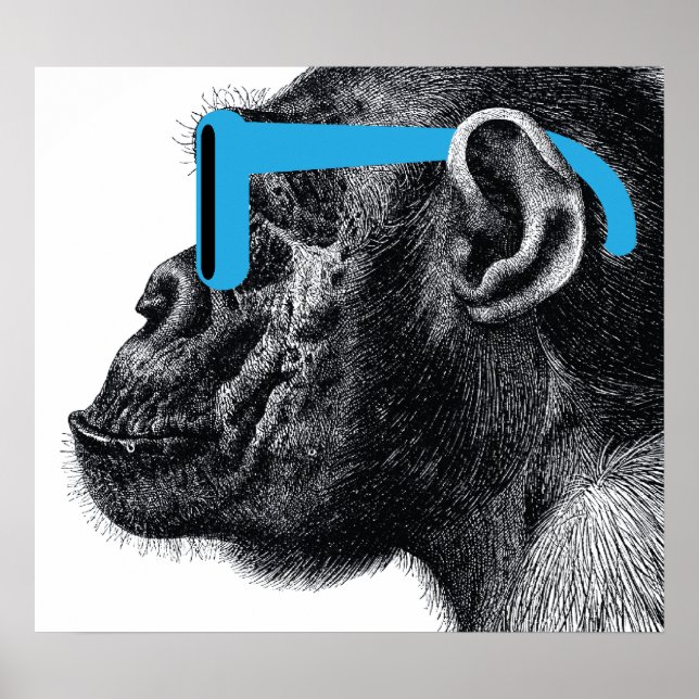 Shades Funny Poster (Vorne)