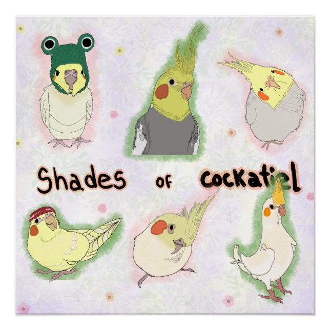 Shades of Cockatiel Poster (Vorderseite)