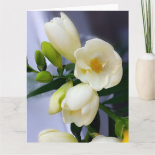 Shades of yellow on white freesia karte