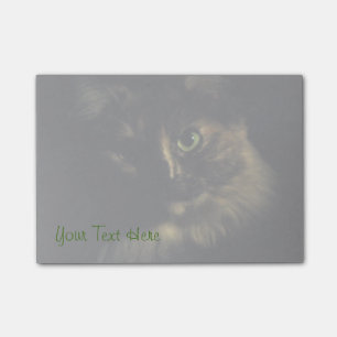 Shadow Cat Art Fotografie Grüne Augen Kitty Post-it Klebezettel
