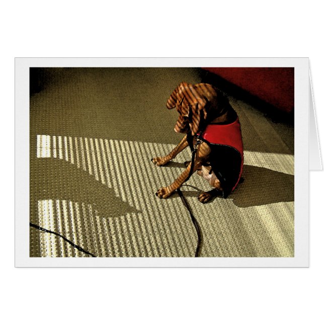 Shadowplay 1 (Vorderseite (Horizontal))