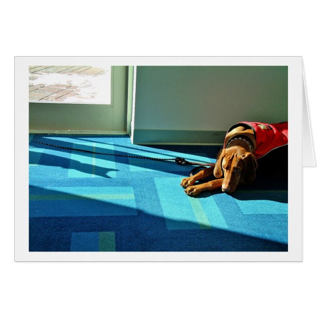 Shadowplay 2 (Vorderseite (Horizontal))