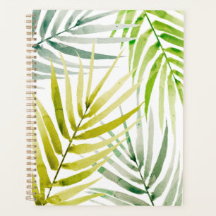 Shady Palms Planer