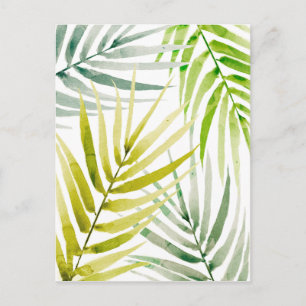 Shady Palms Postkarte