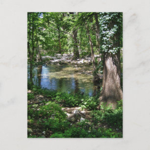 Shady Texas Creek Postkarte