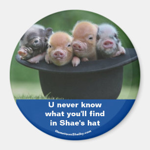 Shae's Hut Magnet