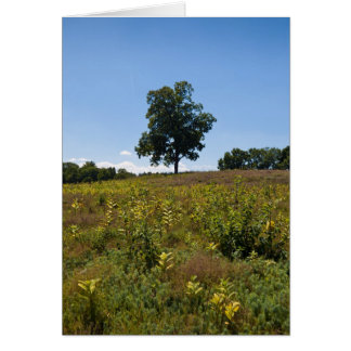 Shagbark Hickory-Charles Fluss-Halbinsel