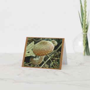Shaggi Cap Mushroom Note Card Karte