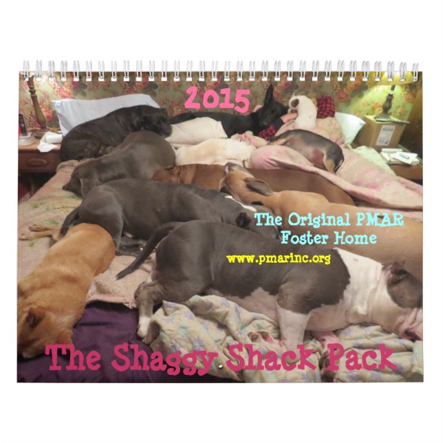 Shaggi-Shack-Kalender Kalender (Titelbild)