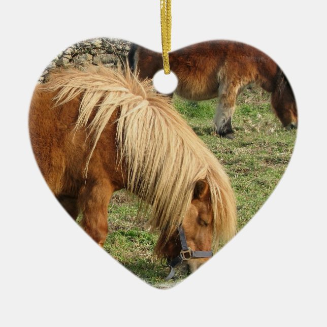 Shaggy die Shetlandinseln-Pony-Verzierung Keramik Ornament (Vorne)
