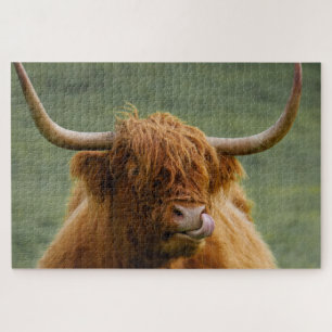 Shaggy-haarige Scottish Highland Cow Nature Animal Puzzle
