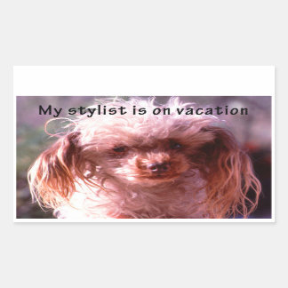 Shaggy Hair Dog Rechteckiger Aufkleber