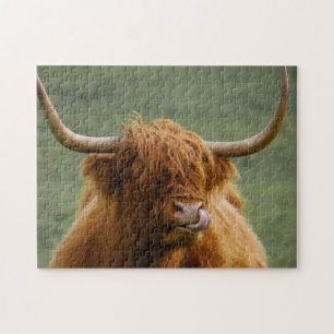 Shaggy Haired Scottish Highland Cow Nature Animal Puzzle