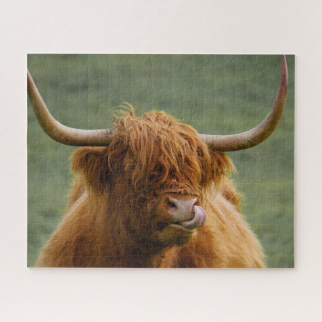 Shaggy Haired Scottish Highland Cow Nature Animal Puzzle (Horizontal)