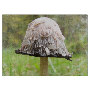 Shaggy Ink Cap Mushroom Glass Chopping Board Schneidebrett