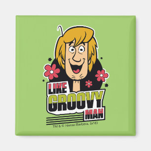 Shaggy "Like Groovy Man" Grafik Magnet