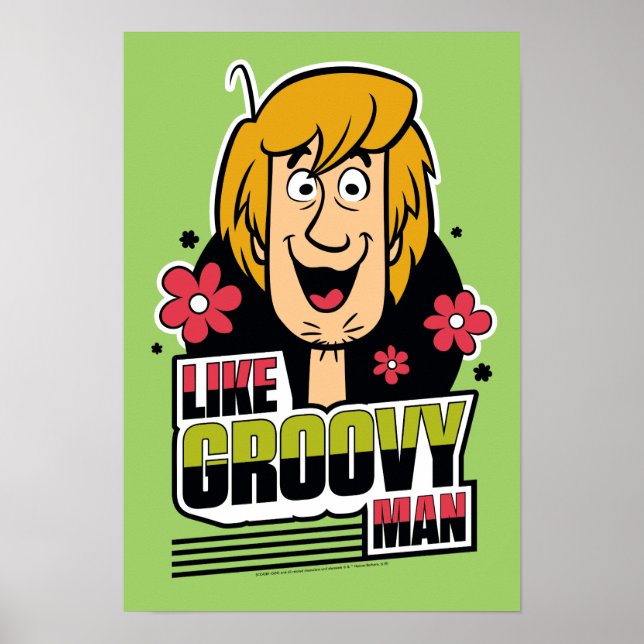 Shaggy "Like Groovy Man" Grafik Poster (Vorne)