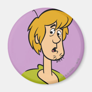 Shaggy überrascht magnet