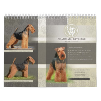 Shaireabs Bayleigh Waliser Terrier Kalender 2014
