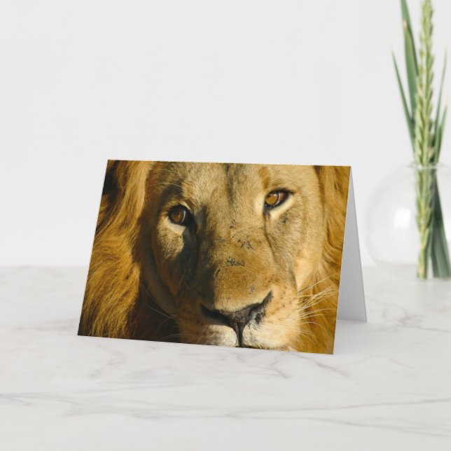 Shaka Eye of the Lion Karte (Vorderseite)