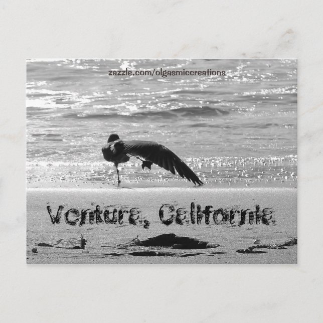 Shake a Leg Postkarte (Vorderseite)