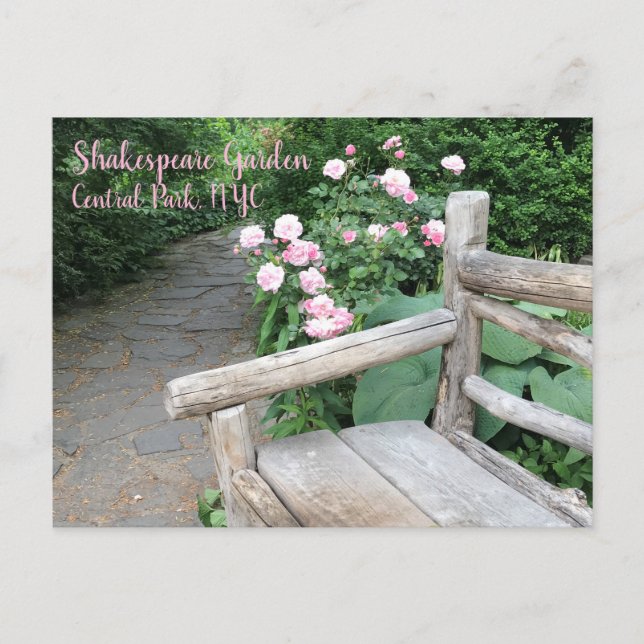 Shakespeare Garden Central Park NYC Roses Postkarte (Vorderseite)