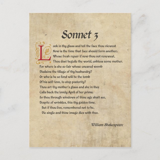 Shakespeare Sonnet 3 Parchment Postkarte (Vorderseite)