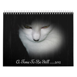 Shakira 2012 Kalender! Kalender