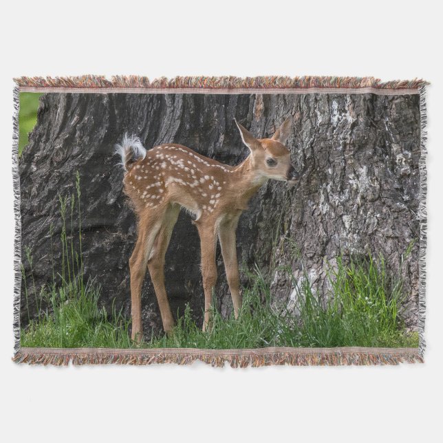 Shaky Legs Fawn Decke (Vorderseite)