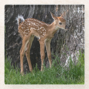 Shaky Legs Fawn Glasuntersetzer