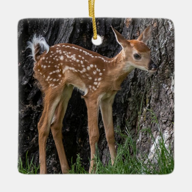 Shaky Legs Fawn Keramikornament (Vorderseite)