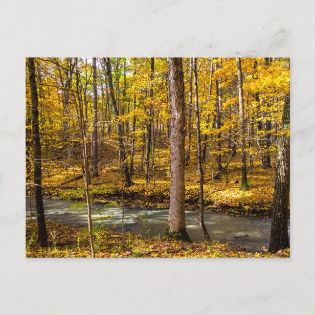 Shale Hollow im Herbst, Lewis Centre, Ohio Postkarte (Vorderseite)